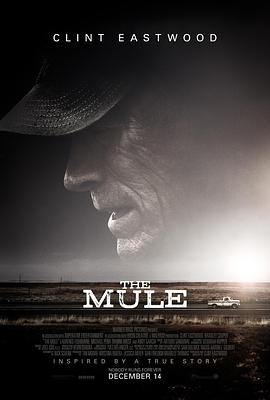  The Mule