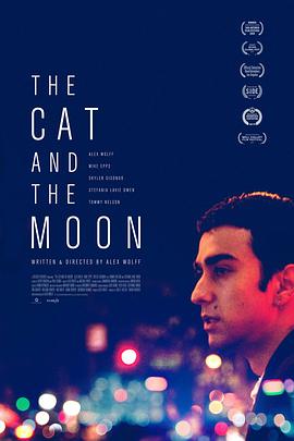 è The Cat and the Moon