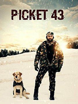 43 picket 43