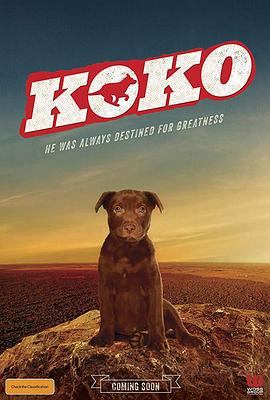 Koko:Ȯռ Koko: A Red Dog Story