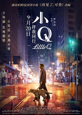 小Q 小Q