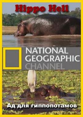  Hippo Hell