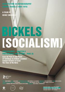 з羰ƪ Bickels: Socialism