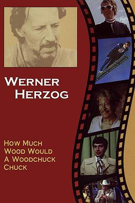 һֻܿе How much Wood would a Woodchuck chuck... - Beobachtungen zu einer neuen Sprache