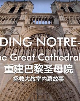 古教堂大救援：争分夺秒拯救巴黎圣母院 Rebuilding Notre Dame: Inside the Great Cathedral Rescue