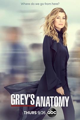 ʵϰҽ ʮ Grey\'s Anatomy Season 16