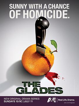 Ѫ һ The Glades Season 1