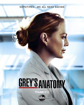 ʵϰҽ ʮ߼ Grey\'s Anatomy Season 17