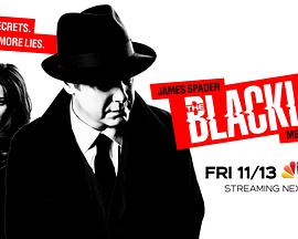 罪恶黑名单 第八季 The Blacklist Season 8