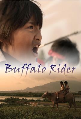 ˮţʿ Buffalo Rider