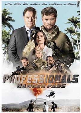 谜网突击 第一季 Professionals Season 1