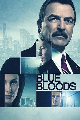  ʮһ Blue Bloods Season 11
