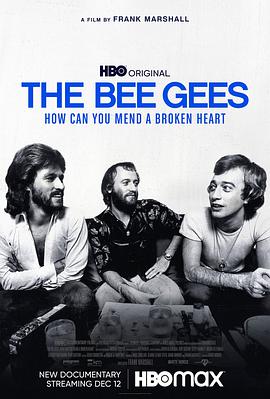 ȼ˹޸ The Bee Gees: How Can You Mend a Broken Heart
