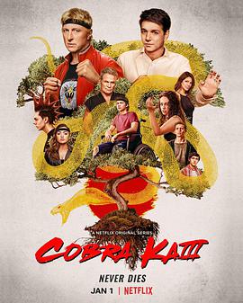 ۾  Cobra Kai Season 3