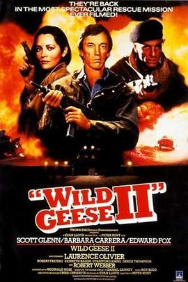 Ұ2 Wild Geese II