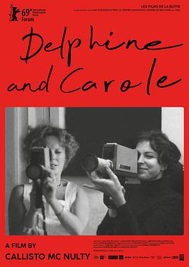 ·뿨޶˹ Delphine et Carole, insoumuses