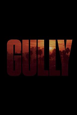  Gully