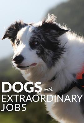 ķǷ һ Dogs with Extraordinary Jobs Season 1