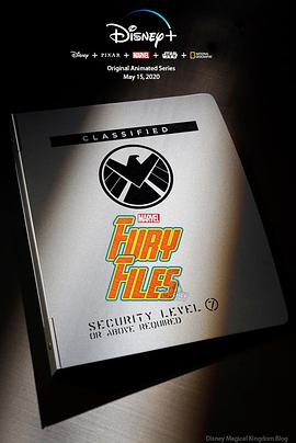 𵵰 Fury Files