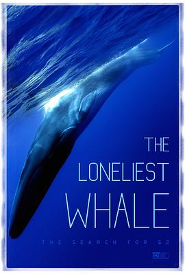 ¶ľѰ52 The Loneliest Whale: The Search for 52