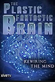 Գ The Plastic Fantastic Brain