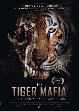 ϻڰ The Tiger Mafia
