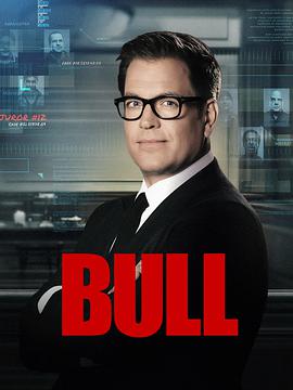 ͥר  Bull Season 6