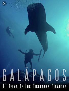 ˹Ⱥ޴ Galapagos: Realm of Giant Sharks