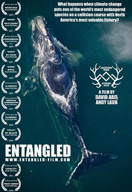 ¶ Entangled: The Race to Save Right Whales from Extinction