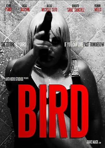 ֮ Bird