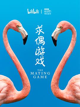 żϷ The Mating Game