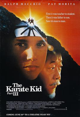 С3 The Karate Kid Part III