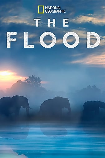 The Flood