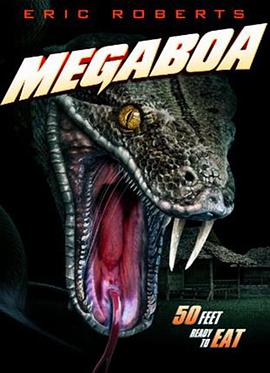  MegaBoa
