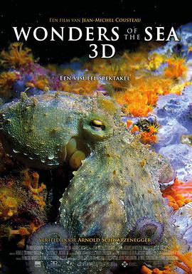 ĺ Wonders of the Sea 3D