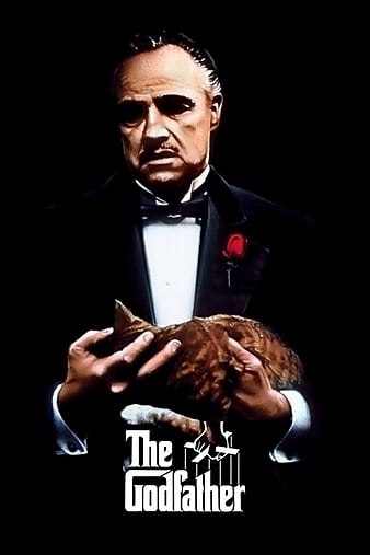 ̸ The Godfather