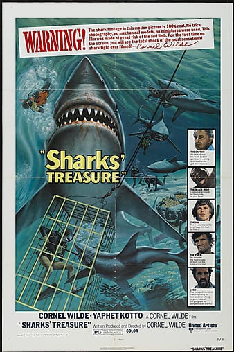 㱦 Sharks\' Treasure