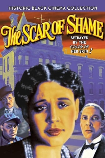 耻辱的疤痕 The Scar of Shame