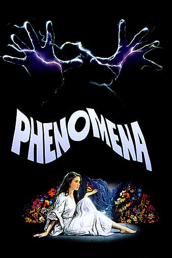  Phenomena