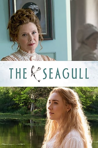 Ÿ The Seagull