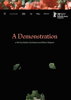 一次展示 A Demonstration