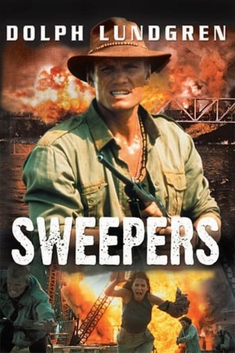 ɨ׼ƻ Sweepers