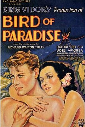 Ů Bird of Paradise