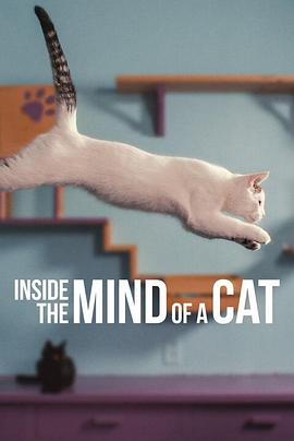 ˵˼ Inside the Mind of a Cat