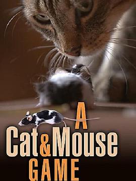 A Cat and Mouse Game