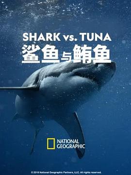  Shark vs Tuna