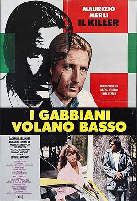 Ÿͷ I gabbiani volano basso