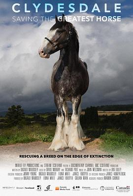 ӢĿ Clydesdale: Saving the Greatest Horse