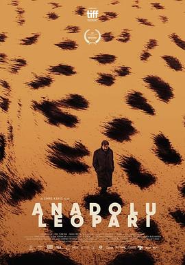 Ǳ Anadolu Leopari
