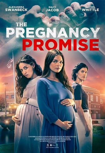 The Pregnancy Promise еԼ